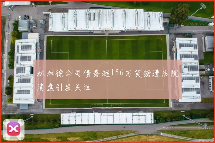 林加德公司债务超156万英镑遭法院清盘引发关注