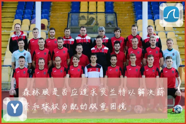 森林狼是否应追求莫兰特以解决薪资和球权分配的双重困境