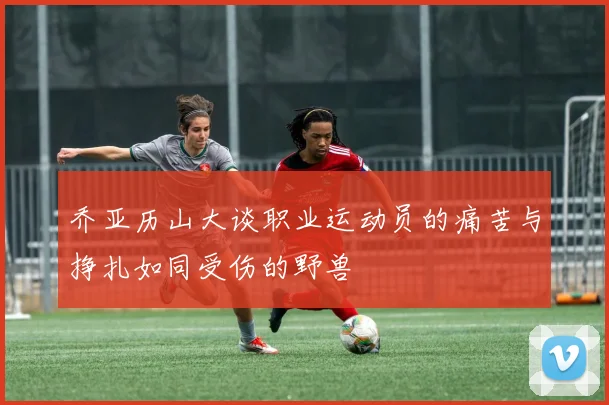 乔亚历山大谈职业运动员的痛苦与挣扎如同受伤的野兽