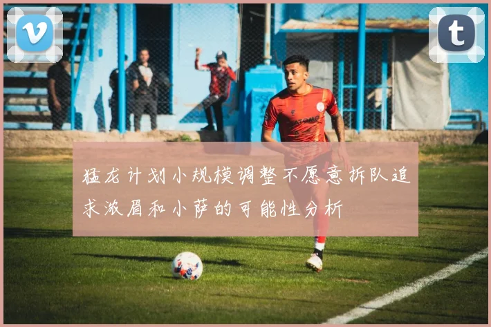 猛龙计划小规模调整不愿意拆队追求浓眉和小萨的可能性分析