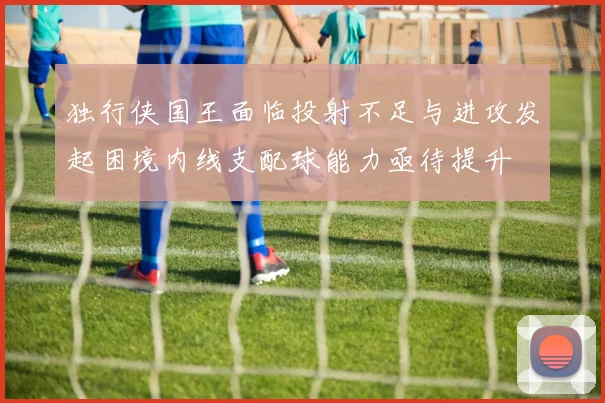 独行侠国王面临投射不足与进攻发起困境内线支配球能力亟待提升