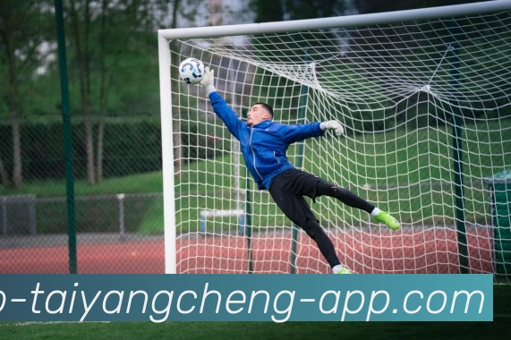 太阳城发展历程